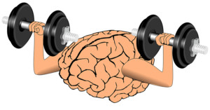 brain-w weights_CCO Public Domain_Pixabay